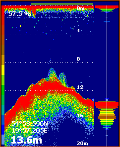 Simbia CPS-200 (1).gif